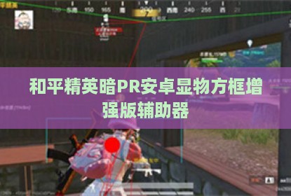 和平精英暗PR安卓显物方框增强版辅助器