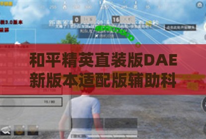 和平精英直装版DAE新版本适配版辅助科技