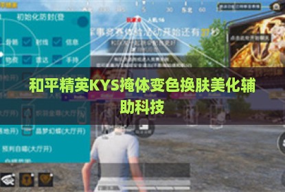 和平精英KYS掩体变色换肤美化辅助科技