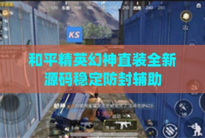 和平精英幻神直装全新源码稳定防封辅助