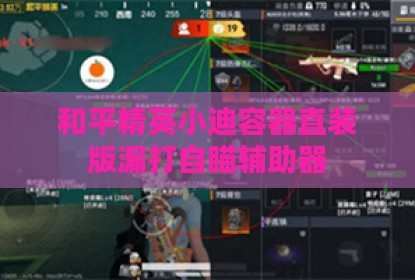 和平精英小迪容器直装版漏打自瞄辅助器