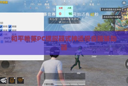 和平精英PC模拟器式神透视自瞄辅助器