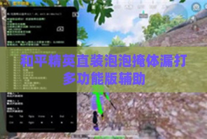 和平精英直装泡泡掩体漏打多功能版辅助