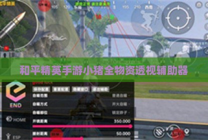 和平精英手游小猪全物资透视辅助器